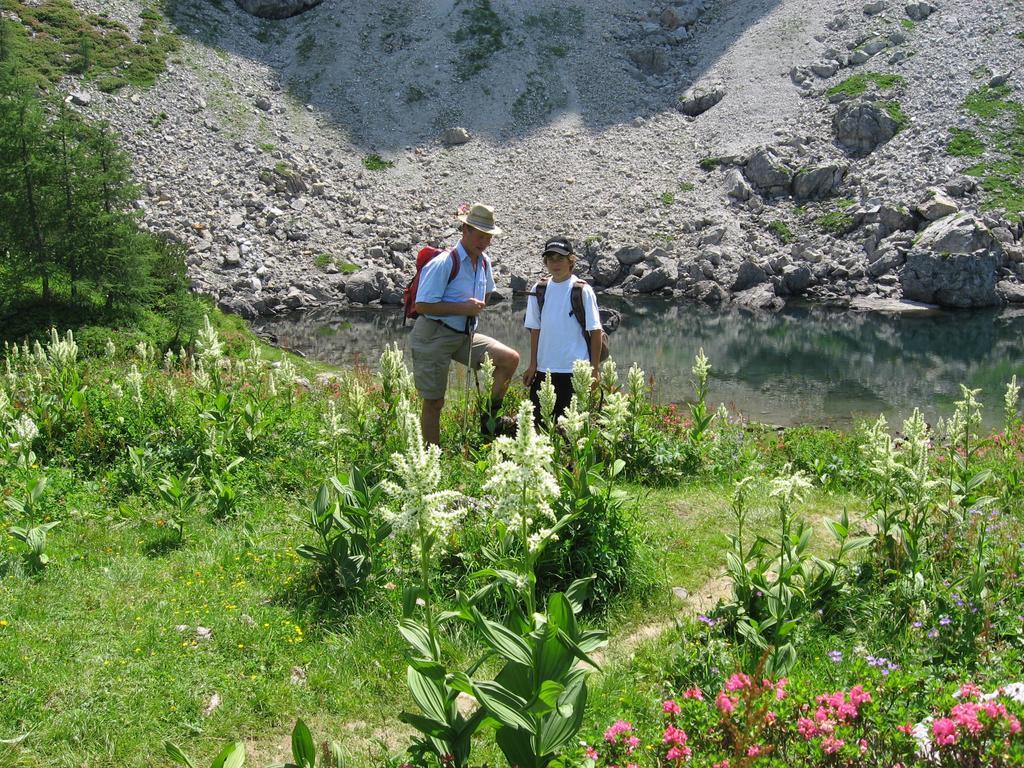 Bauernhofurlaub Sinnhubgut Altenmarkt im Pongau Zewnętrze zdjęcie