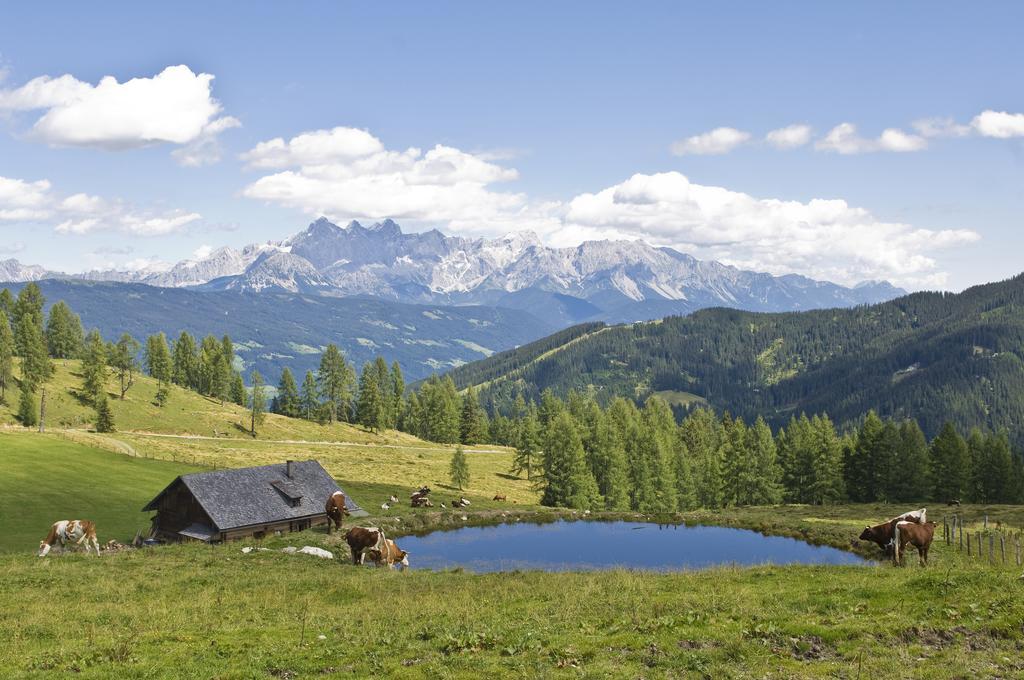 Bauernhofurlaub Sinnhubgut Altenmarkt im Pongau Zewnętrze zdjęcie
