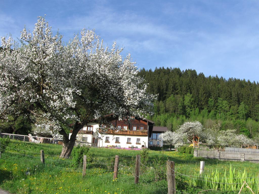 Bauernhofurlaub Sinnhubgut Altenmarkt im Pongau Zewnętrze zdjęcie